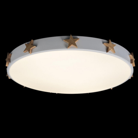 Потолочный детский светильник LOFT IT 10006/36 White