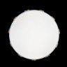 Потолочный детский светильник LOFT IT 10006/36 White