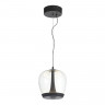Подвесной светильник ST-Luce SL6014.423.01