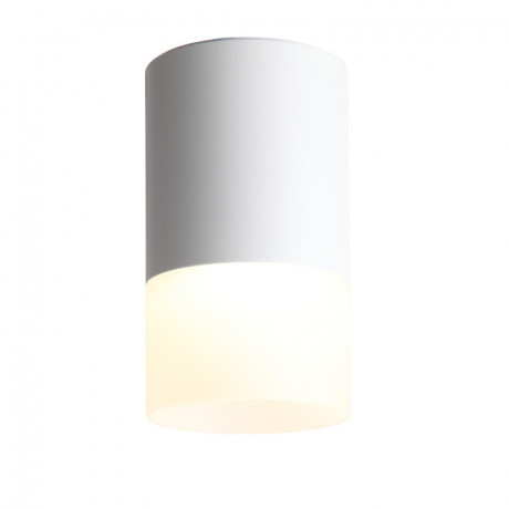 Накладной светильник ST-Luce ST100.502.05