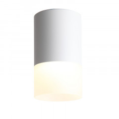 Накладной светильник ST-Luce ST100.502.05