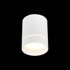 Накладной светильник ST-Luce ST115.542.07