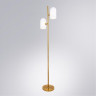 Торшер ARTE Lamp A5454PN-2PB