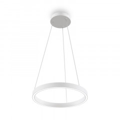 Подвесной светильник Maytoni MOD058PL-L22WK