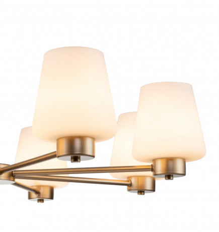 Подвесная люстра Indigo V000002