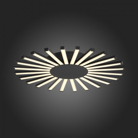 Накладной светильник ST-Luce SL839.412.24