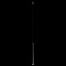 Подвесной светильник LOFT IT 10334/800 Black