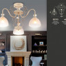 Накладной светильник Ambrella Light TR3055