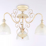 Накладной светильник Ambrella Light TR3055