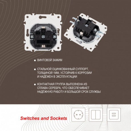 Розетка Arte Milano 205.41-1.silver