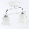 Накладной светильник Ambrella Light TR303229