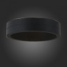 Светильник настенный ST-Luce SL562.401.01