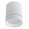 Накладной светильник ARTE Lamp A1949PL-1WH