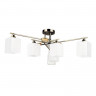 Накладная люстра ARTE Lamp A4497PL-6AB