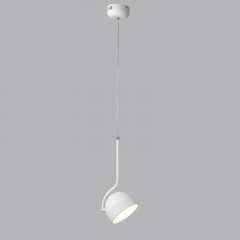 Подвесной светильник LUMION 6501/10L