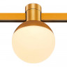 Светильник на шине ST-Luce ST815.206.05