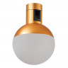 Светильник на шине ST-Luce ST815.206.05