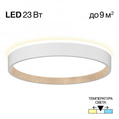 Накладной светильник Citilux CL750240