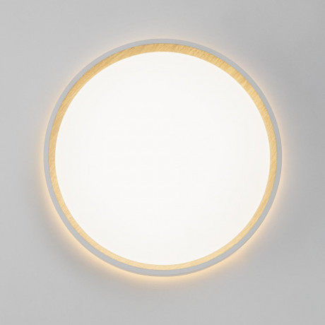 Накладной светильник Citilux CL750240