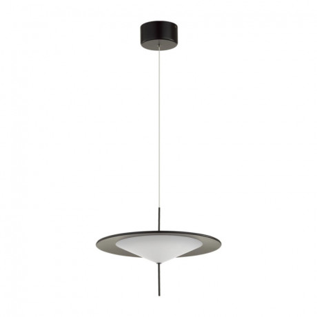 Подвесной светильник Odeon Light 5012/16L