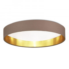 Накладной светильник Evoluce SLE300572-01