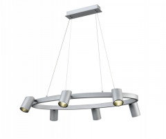 Подвесной светильник Vele Luce VL10113P06