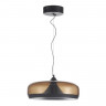 Подвесной светильник ST-Luce SL6014.603.01