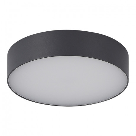 Накладной уличный светильник ST-Luce SL9518.702.01