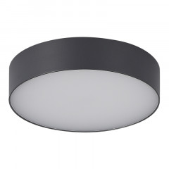 Накладной уличный светильник ST-Luce SL9518.702.01