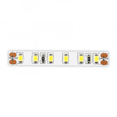 Лента ST-Luce ST1001.310.20