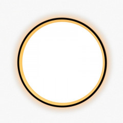 Накладной светильник Citilux CL750241