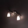 Спот Citilux CL501521