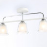 Накладной светильник Ambrella Light TR303233