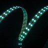 Лента DesignLed DSG5120-24-RGB-33