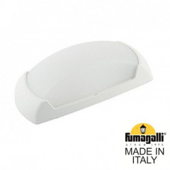 Светильник настенный Fumagalli 2A1.000.000.WYF1R