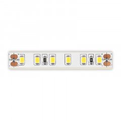 Лента ST-Luce ST1001.310.65