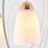 Накладная люстра Ambrella Light TR3120
