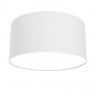 Накладной светильник Maytoni Technical C032CL-L12W3K