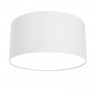 Накладной светильник Maytoni Technical C032CL-L12W3K