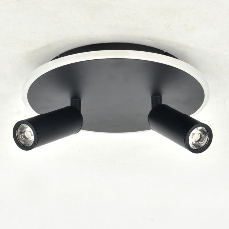 Накладной светильник Escada 20046SMA/02LED BK