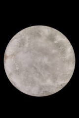 Бра Fluorite FL1020-1WH