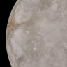Бра Fluorite FL1020-1WH