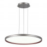 Подвесной светильник ST-Luce SL6015.413.01