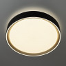 Накладной светильник Citilux CL751251G