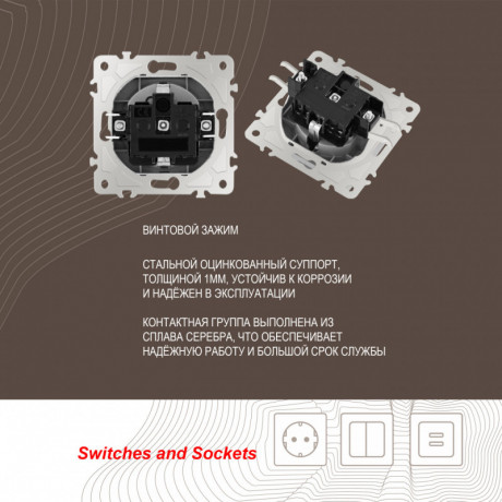 Розетка Arte Milano 206.41-1.silver
