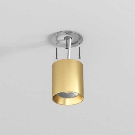 Накладной светильник Denkirs DK2610-SB