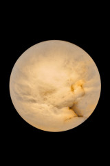 Бра Fluorite FL1020-1WM