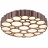 Накладной светильник Vele Luce VL7156L01