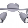 Спот ARTE Lamp A1966AP-2GY