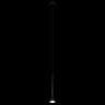 Подвесной светильник LOFT IT 10337/250 Black
